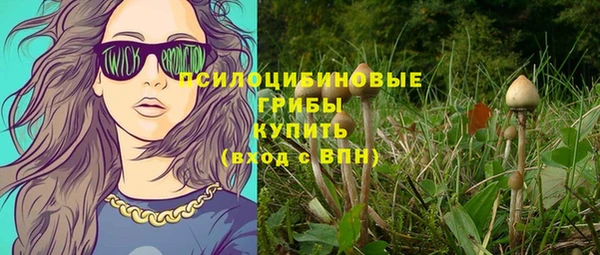 дживик Алзамай