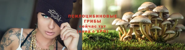 молекула духа Алексеевка