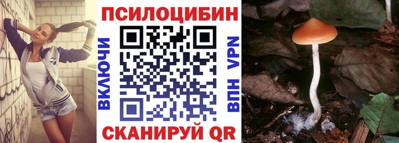 Псилоцибиновые грибы ЛСД  блэк спрут tor  Белоозёрский  наркота 
